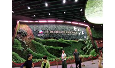 2019北京世園會，我們來啦